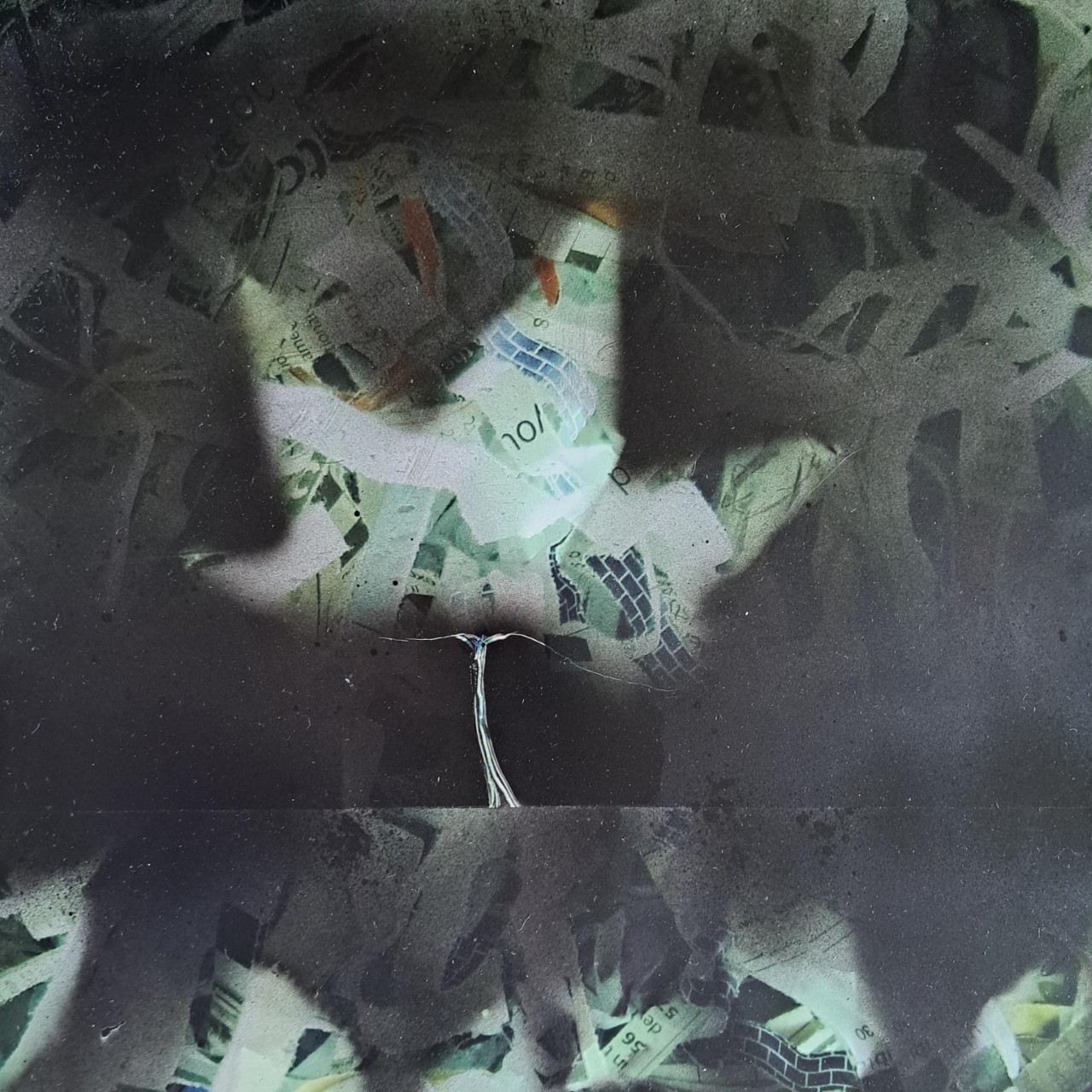 Leaves Series I mixed media on aluminium, 30 x 40 cm